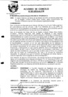 Vista preliminar de documento 2010AC027.pdf