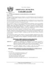 Vista preliminar de documento 2007OM034.pdf