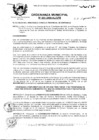 Vista preliminar de documento 2009OM001.pdf