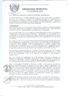 Vista preliminar de documento 2009OM018.pdf