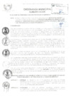 Vista preliminar de documento O.M 043-2019-ALCPB.pdf