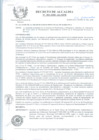 Vista preliminar de documento 2008DA001.pdf