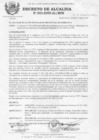 Vista preliminar de documento 2009DA003.pdf