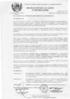 Vista preliminar de documento 2009RA049.pdf
