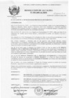Vista preliminar de documento 2009RA058.pdf