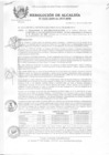 Vista preliminar de documento 2009RA0335.pdf
