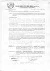 Vista preliminar de documento 2009RA0393.pdf