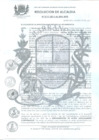 Vista preliminar de documento 2011RA0117.pdf
