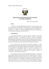 Vista preliminar de documento res_DEC_007_2021