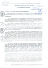Vista preliminar de documento RES_ALC_406_2015.pdf
