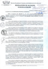 Vista preliminar de documento RES_ALC_419_2015.pdf
