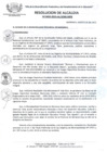 Vista preliminar de documento RES_ALC_455_2015.pdf