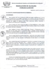 Vista preliminar de documento RES_ALC_456_2015.pdf