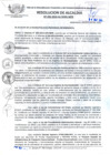 Vista preliminar de documento RES_ALC_435_2015.pdf