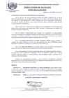 Vista preliminar de documento RES_ALC_517_2015.pdf