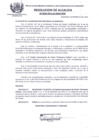 Vista preliminar de documento RES_ALC_524_2015.pdf