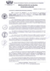 Vista preliminar de documento RES_ALC_536_2015.pdf