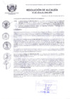 Vista preliminar de documento RA 541-2015.pdf