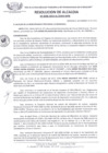 Vista preliminar de documento RES_ALC_596_2015.pdf