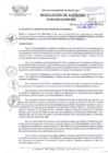 Vista preliminar de documento R.A-295-2016.pdf