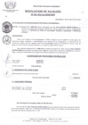 Vista preliminar de documento R.A-210-2017.pdf