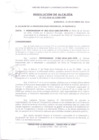Vista preliminar de documento R.A 393-2018.pdf