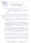 Vista preliminar de documento R.A 196-2019.pdf