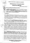 Vista preliminar de documento R.A-295-2019.pdf