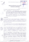 Vista preliminar de documento R.A-313-2019.pdf