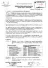 Vista preliminar de documento R.A-028-2020