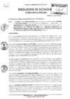 Vista preliminar de documento R.A-203-2020.pdf