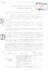 Vista preliminar de documento R.A-246-2020.pdf