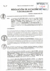 Vista preliminar de documento R.A-294-2020.pdf