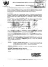 Vista preliminar de documento 2009RG087.pdf