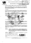 Vista preliminar de documento 2009RG094.pdf