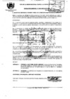 Vista preliminar de documento 2009RG096.pdf