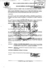 Vista preliminar de documento 2009RG095.pdf