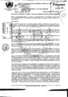 Vista preliminar de documento 2010RG037.pdf
