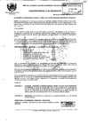 Vista preliminar de documento 2010RG041.pdf