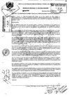 Vista preliminar de documento 2010RG050.pdf