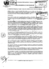 Vista preliminar de documento 2010RG095.pdf