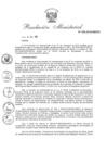 Vista preliminar de documento 2015