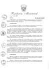 Vista preliminar de documento 2015