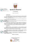 Vista preliminar de documento 0035-2021-IN.