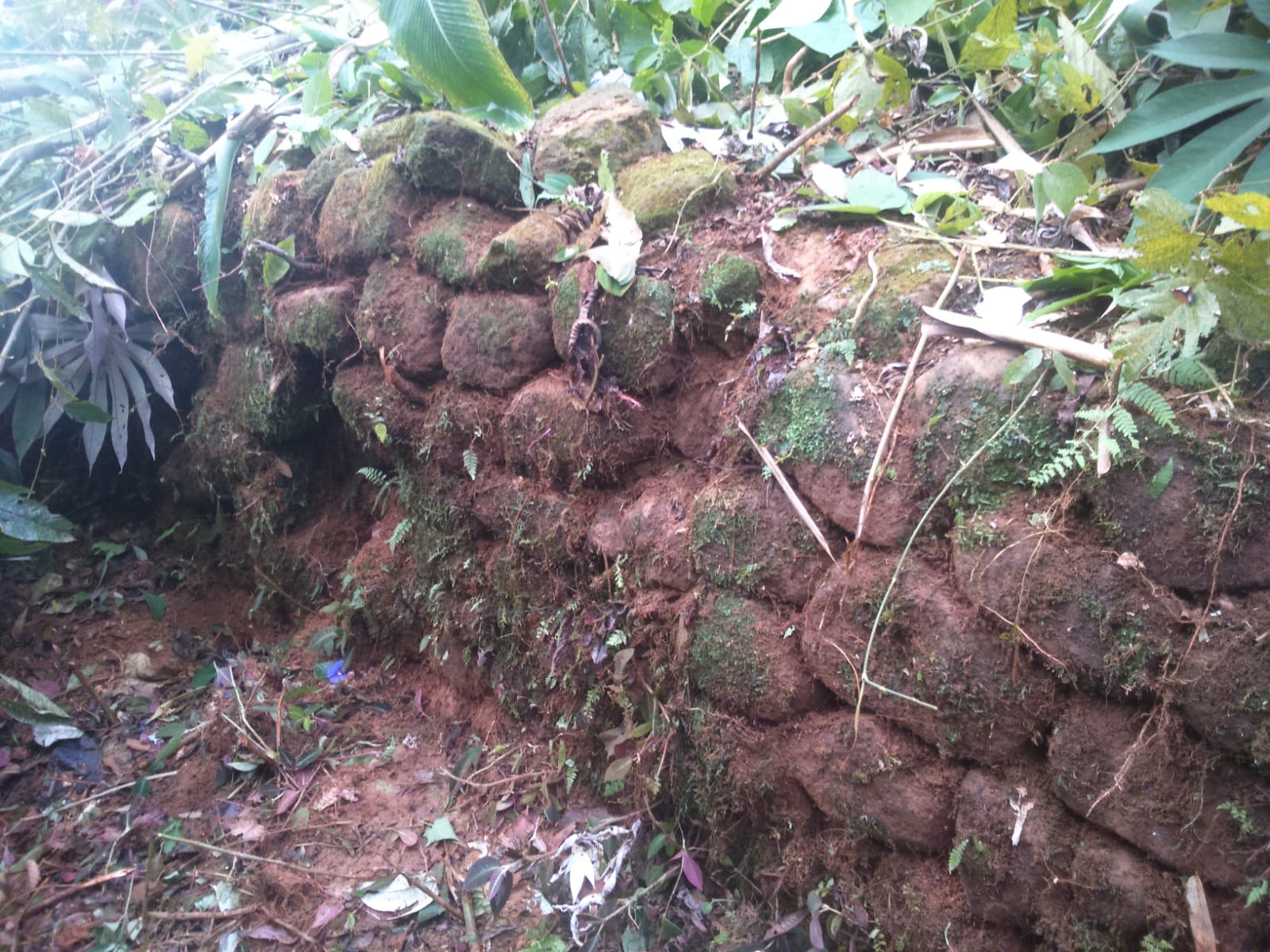 Ministerio de Cultura declaró como Patrimonio Cultural de la Nación al Sitio Arqueológico Casa del Inca en Madre de Dios