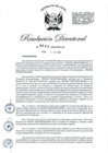 Vista preliminar de documento RD-2020-00060-999