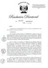Vista preliminar de documento RD-2020-00153-999