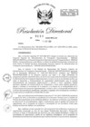 Vista preliminar de documento RD-2020-00251-999