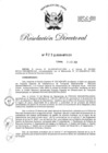 Vista preliminar de documento RD-2020-00256-999