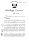 Vista preliminar de documento RD-2020-00271-999